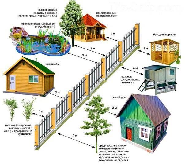 Картинки по запросу Скільки метрів повинно бути до межі, якщо сусід будує новий будинок, садить дерева чи створює інші об’єкти?